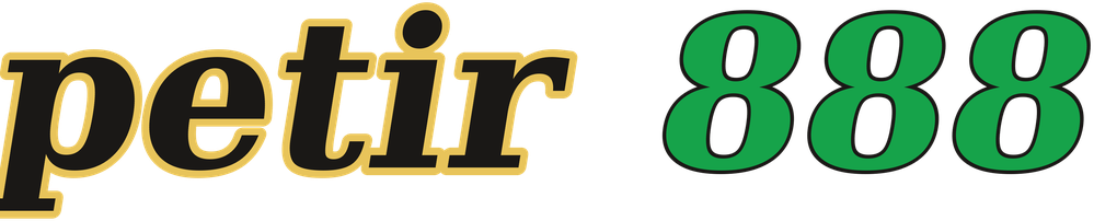 petir 888 logo